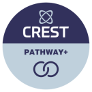 A CREST Pathway+ organisation has signed Codes of Conduct and Ethics and self-assessed against CREST’s standards. A CREST Pathway+ organisation is aiming for, but is not, a CREST Accredited Member company.