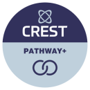 A CREST Pathway+ organisation has signed Codes of Conduct and Ethics and self-assessed against CREST’s standards. A CREST Pathway+ organisation is aiming for, but is not, a CREST Accredited Member company.