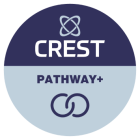 A CREST Pathway+ organisation has signed Codes of Conduct and Ethics and self-assessed against CREST’s standards. A CREST Pathway+ organisation is aiming for, but is not, a CREST Accredited Member company.